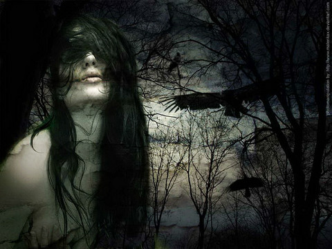 picture 30 19 11 04 15.png