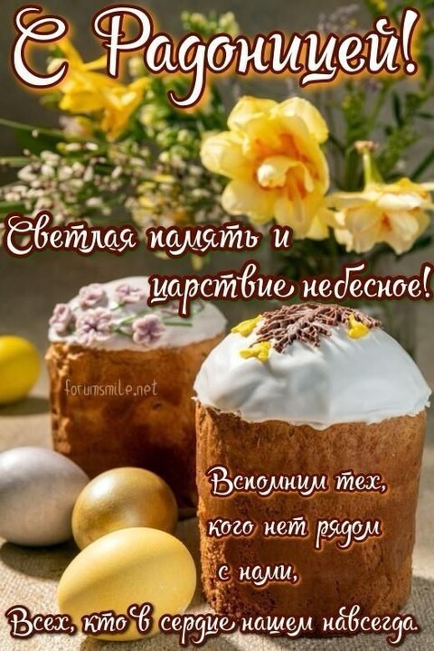 b3cd7886e88fdecd1cbfcc7205cd9c98.jpg
