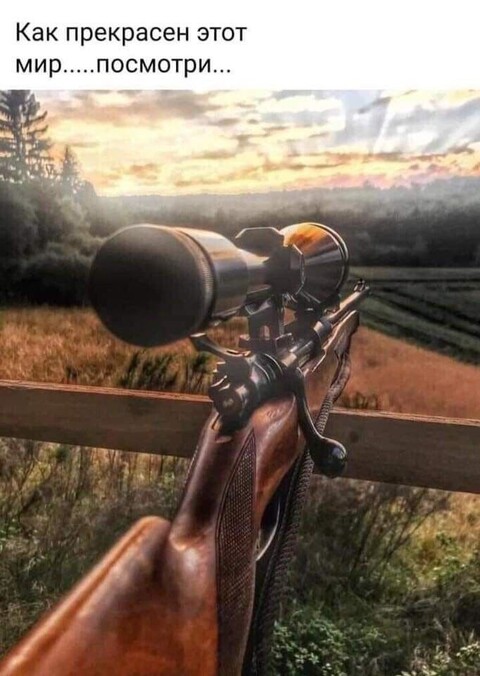 XbGsPVDGbLg.jpg