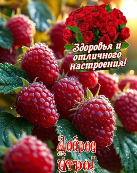Доброе Утро.jpg