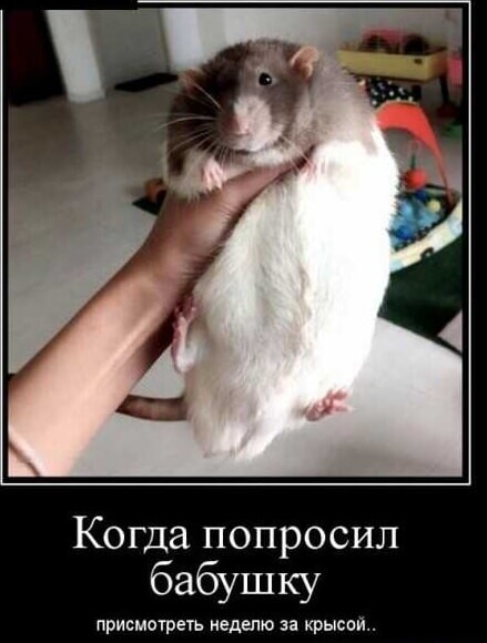 55aaf4fe-b22c-4707-a346-98e62767e4df.jpg
