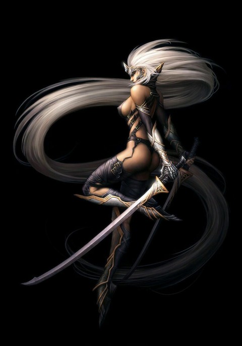 The Two Bladed Elf.jpg