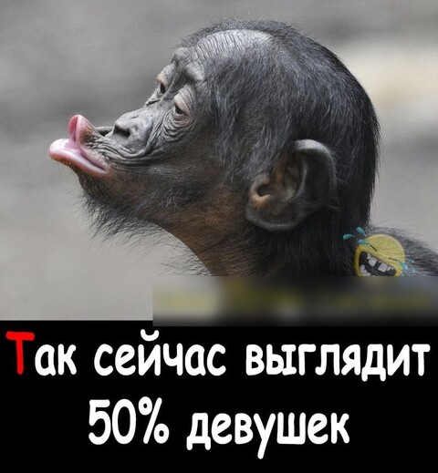 4a1221b9-25e2-4ab4-82d3-9f28445fe7cf.jpg