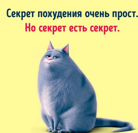 6be3e19708a77a54fe1c82d6d8c7312bf67f9a62c3b733c96febac8ef461394c 1 jpg 1.jpg