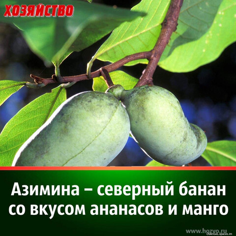 FB IMG 1696648582108-world39 spcs bio.jpg