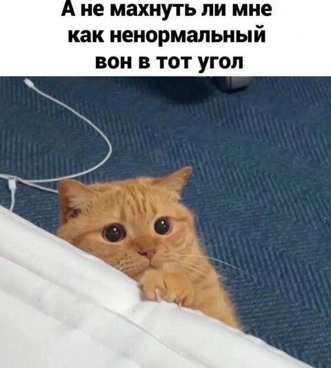 aa7edfea7962b89b51dfac82281482e6047505270d206784f730230018bc12b3 1 jpg 1.jpg