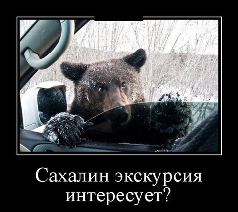 65503365-d5ec-4d70-87bb-d02fdd1c51ca.jpg