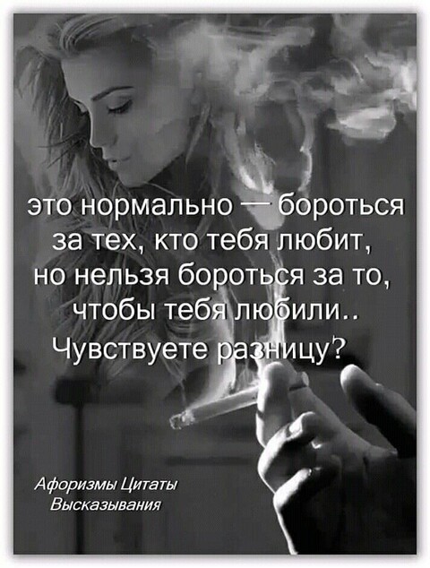 bd9041368dcfff70eeeb6934668a8375.jpg