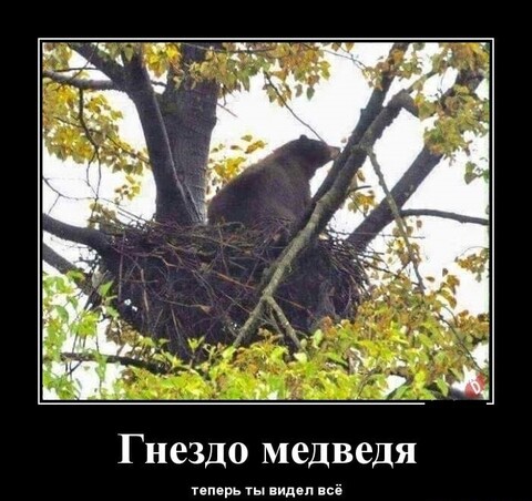 be411ee9-cd28-4195-97b4-1cb0ad858b20.jpg