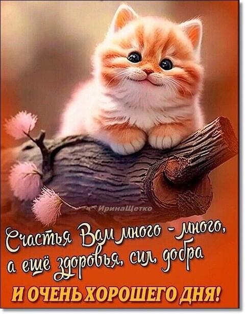 Хорошего Дня.jpg