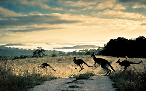 HQ Wallpapers for a desktop (Part 487)-106.jpg