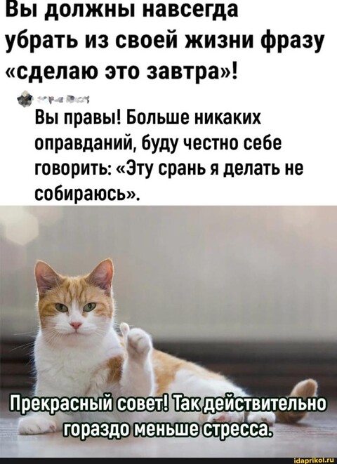 IMG-20231123-WA0081.jpg