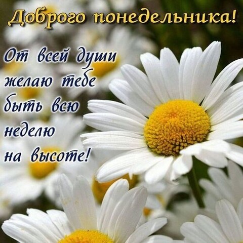 Доброго Понедельника.jpg