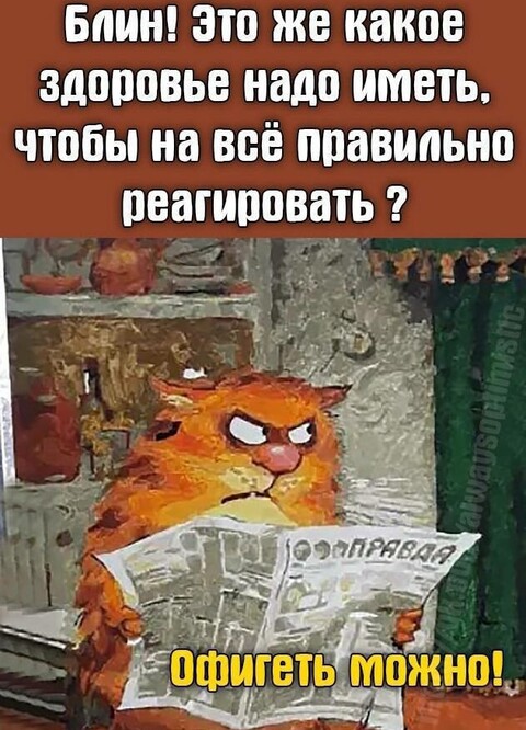 417b72bcf05693843adaa3a1583bc3733f8f5d9b6f1280f66c81167a59f3a57f 1 jpg 1.jpg