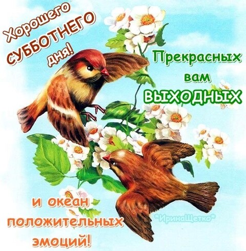 Суббота.jpg