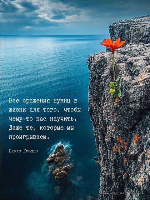 35f4a32ed01916617b4412b045ec907b.jpg
