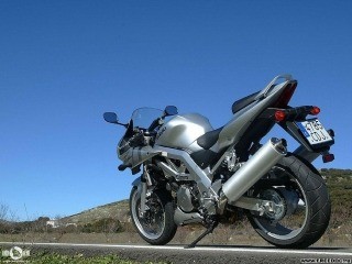 mot318.jpg
