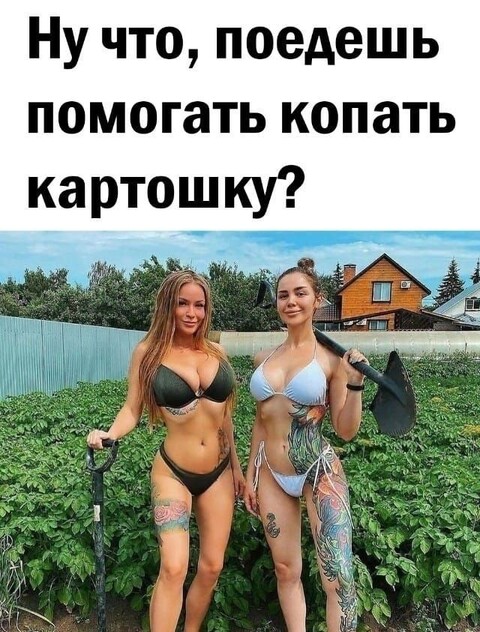f915039c8a4a27fc0c75cb76b826e445.jpg