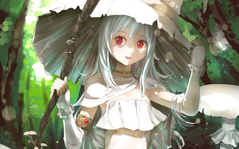 37704-anime belaya koldunya.jpg