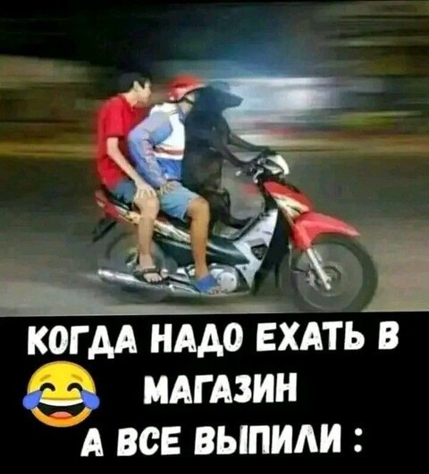 3d3ee4e7347fc184971dd19dff4246b6.jpg