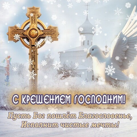 5ede688be93f7121cad2659b2cf72e74.jpg