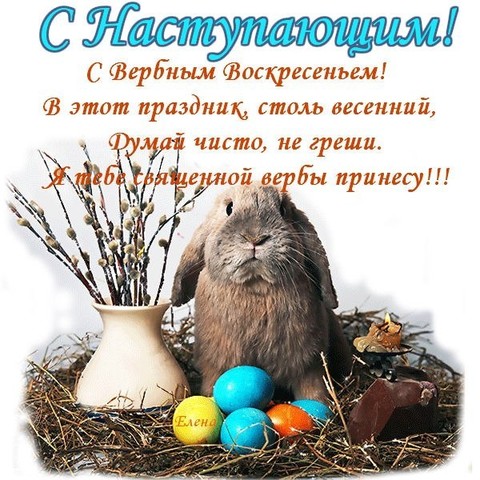 bP9 Z77ghSk.jpg