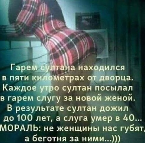 d8d50daa049aee35eef035e9c65aaa702dcd2139be960db5564a7096d1da1e24 1 jpg 1.jpg