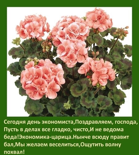 dd7cd5d2-d79b-4c33-8b27-7df81b8ffd30.jpg