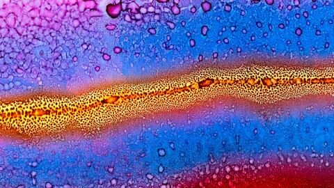 64577-abstrakciya mikroby gradient.jpg