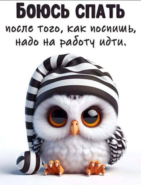 bfd1ea3a-252a-4996-91d1-aac389775ddc.jpg