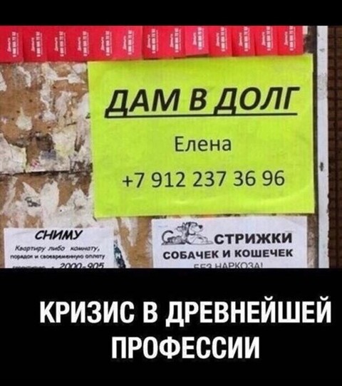 3b81ecb2-e46a-4ea1-adf7-e43686327304.jpg