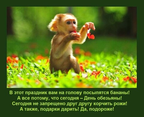 3c05fa15-318e-4f31-9635-d589f6175967.jpg