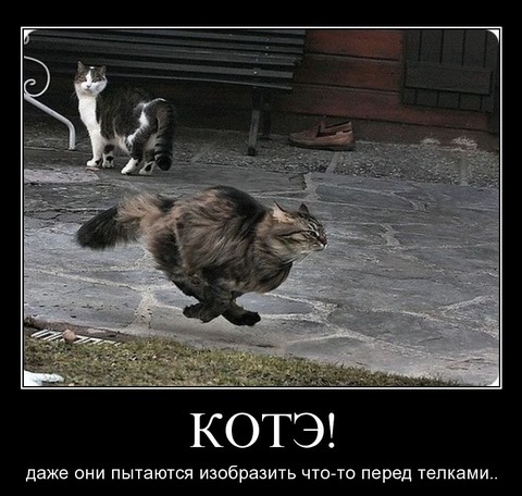 20180415 175317.jpg