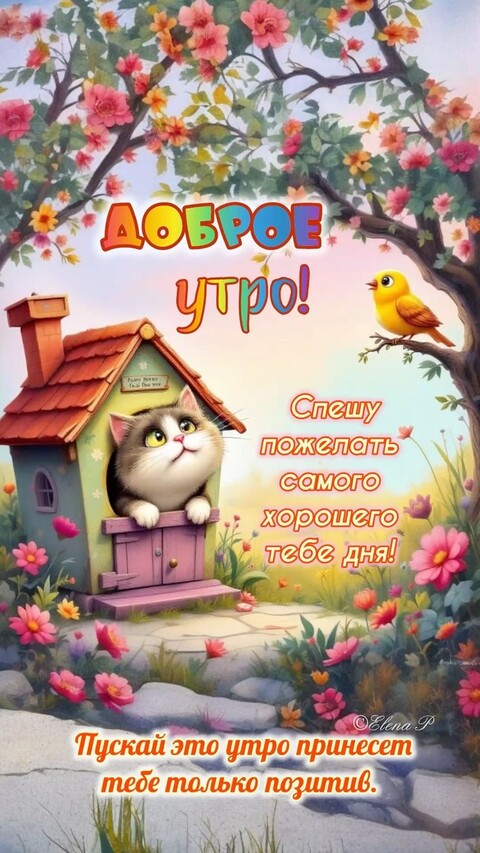 0982d21a53d8b33d2c0cd8b972c3ca41.jpg