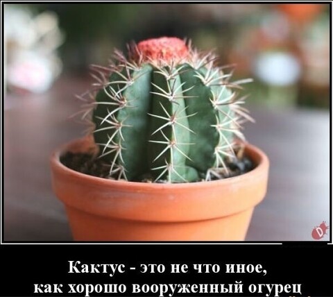 846a19f4-fe2a-4c44-a825-41db25d6f6cc.jpg