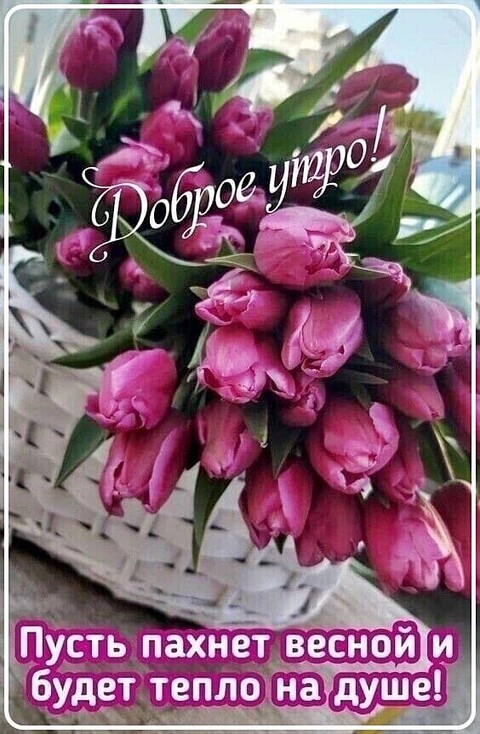Доброе Утро.jpg