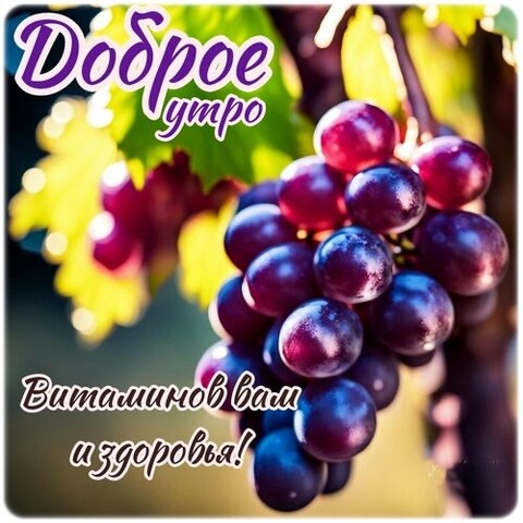Доброе Утро.jpg