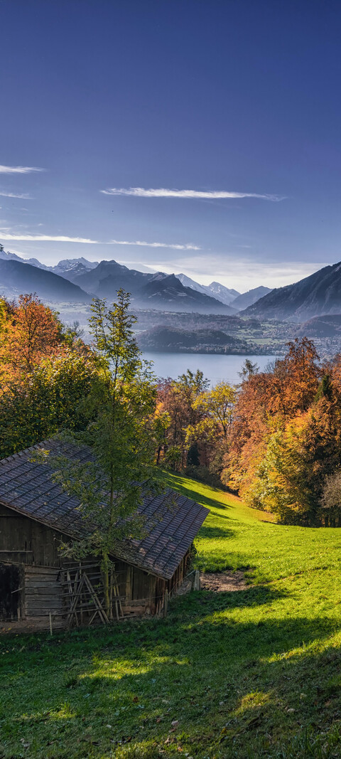 wallpaper 1080x2400 swiss mountains 16.jpg