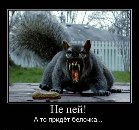 20180408 175450.jpg