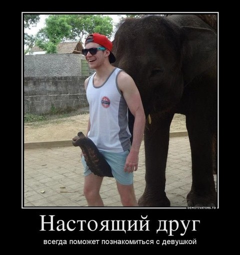 Дм -.jpg