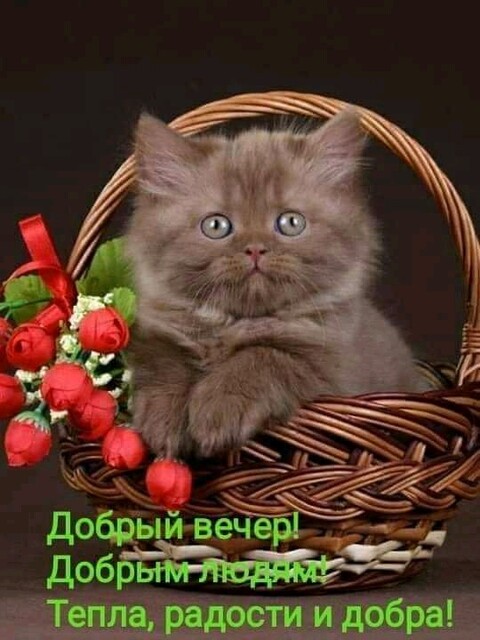 FB IMG 15795781872343417.jpg