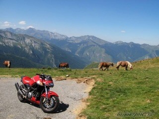 mot114.jpg