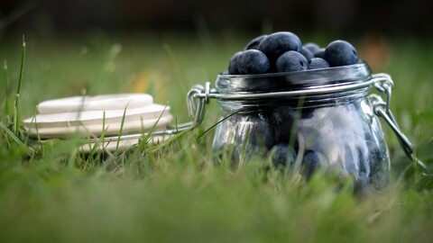 29418-eda chernika yagodyi food blueberries berries.jpg