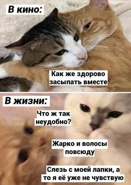 b508bafcfdcff21c64c3d72eef4eff49.jpg