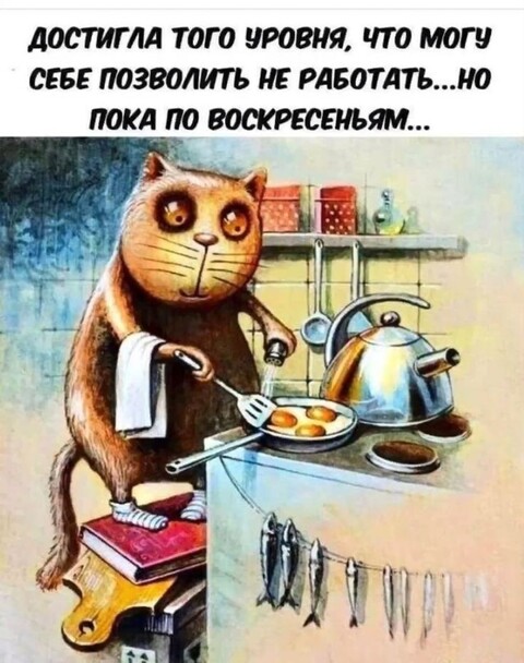 ff568706081d0ee2e58ae81b8eb988ce.jpg