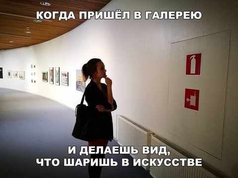 IMG-20241124-WA0053.jpg