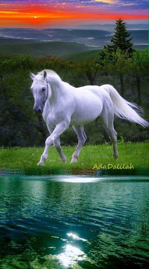 a04a4dc17d3d41c9ef907e119eb6cbd7.jpg