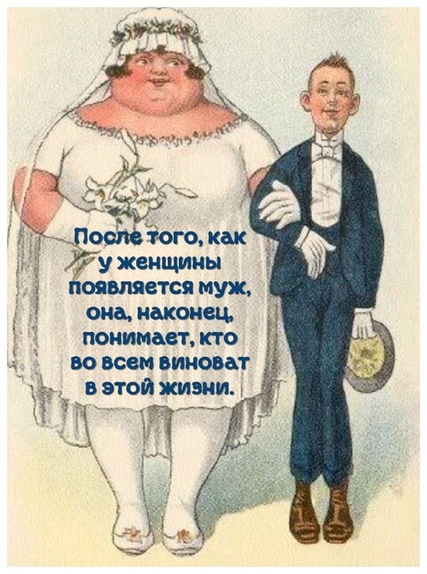 8cd1f064048e34b055459eca252a1811.jpg