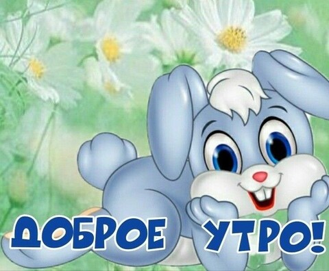 0160ebed3e8aefc9960697d98aefd372.jpg