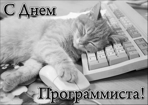 13 Сентября - С Днём Программиста.jpg